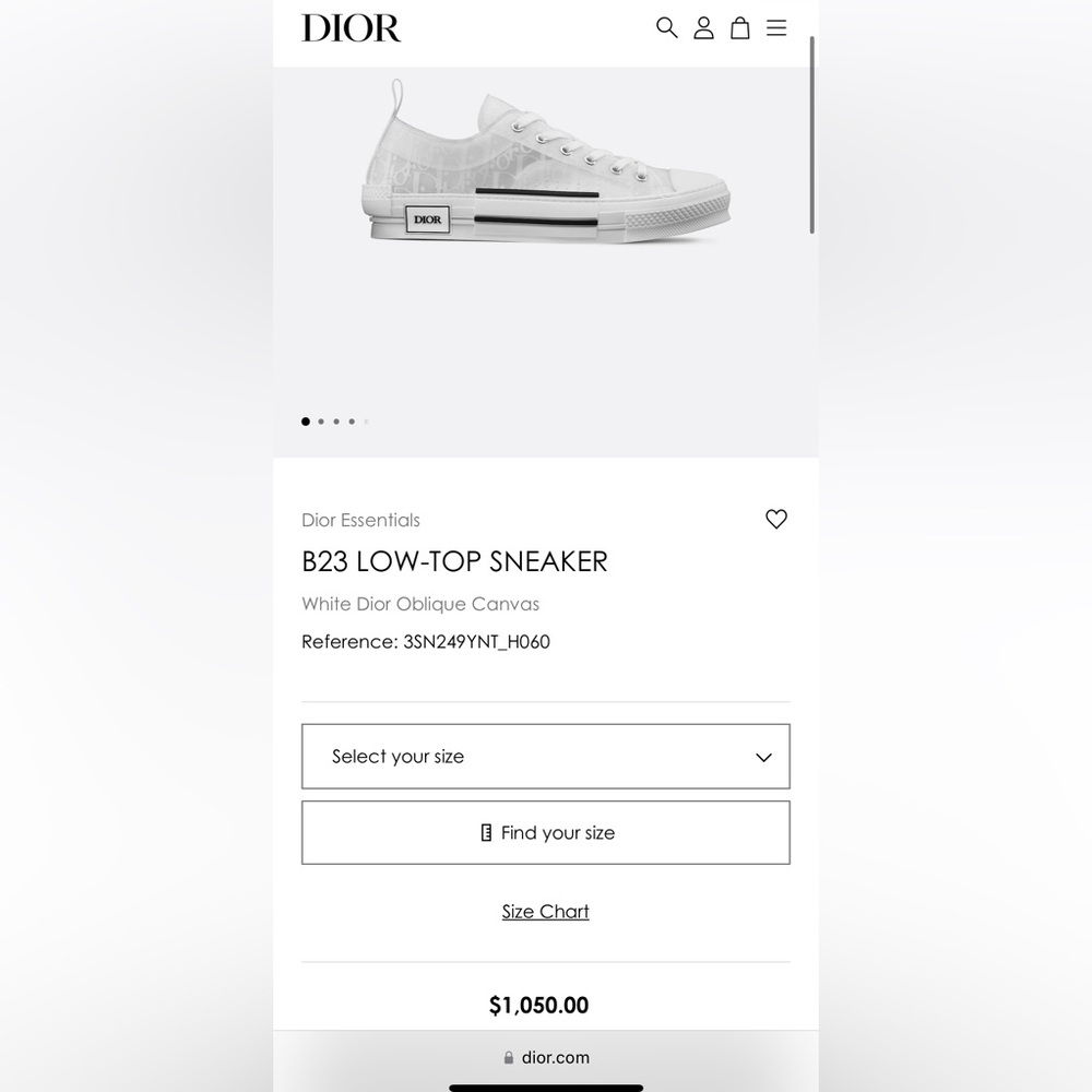 Dior B23 Low Top
Oblique